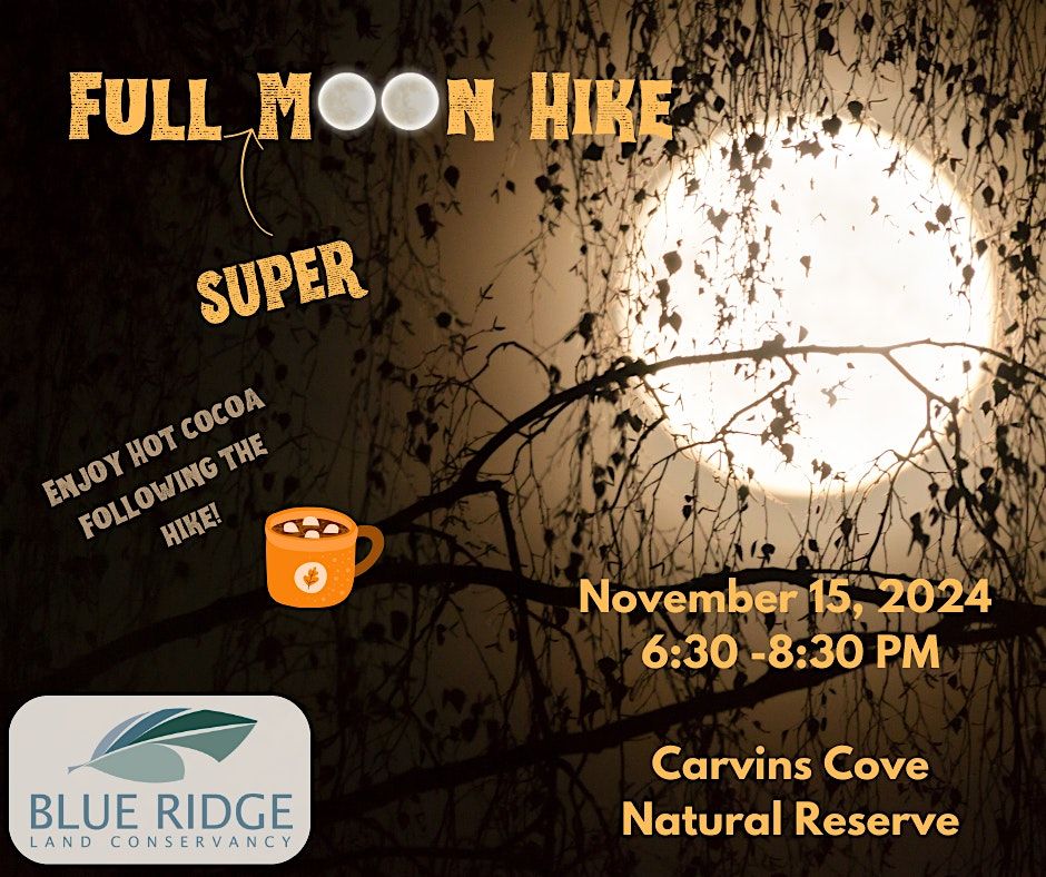 Full Moon Hike at Carvins Cove