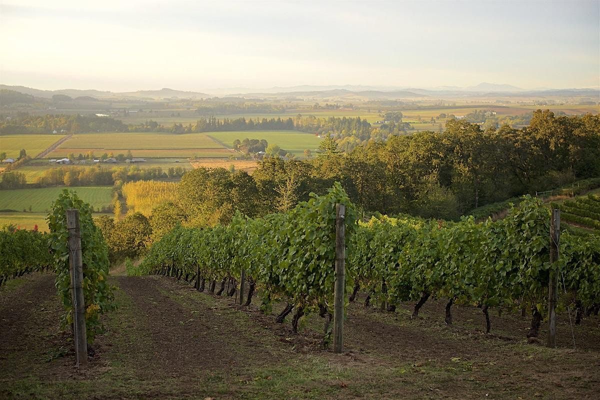New Zealand v Oregon Wine Masterclass