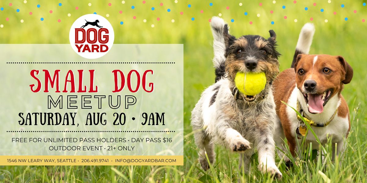 Small Dog Meetup at the Dog Yard Bar  - Saturday, August 20