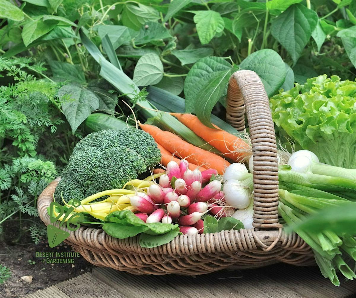 DIG ONLINE:  Growing a Cool-Season Vegetable Garden