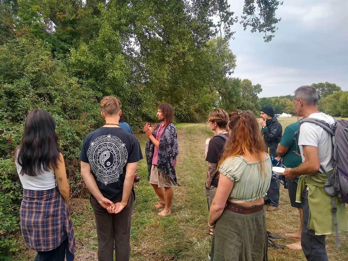 MEDICINAL HERB WALK. LATE SUMMER MEDICINES FORAGING