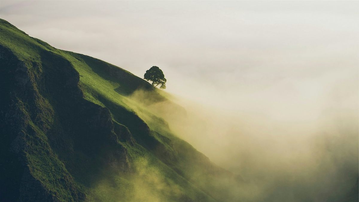 Meditation Class -  Letting go of Trying so Hard.