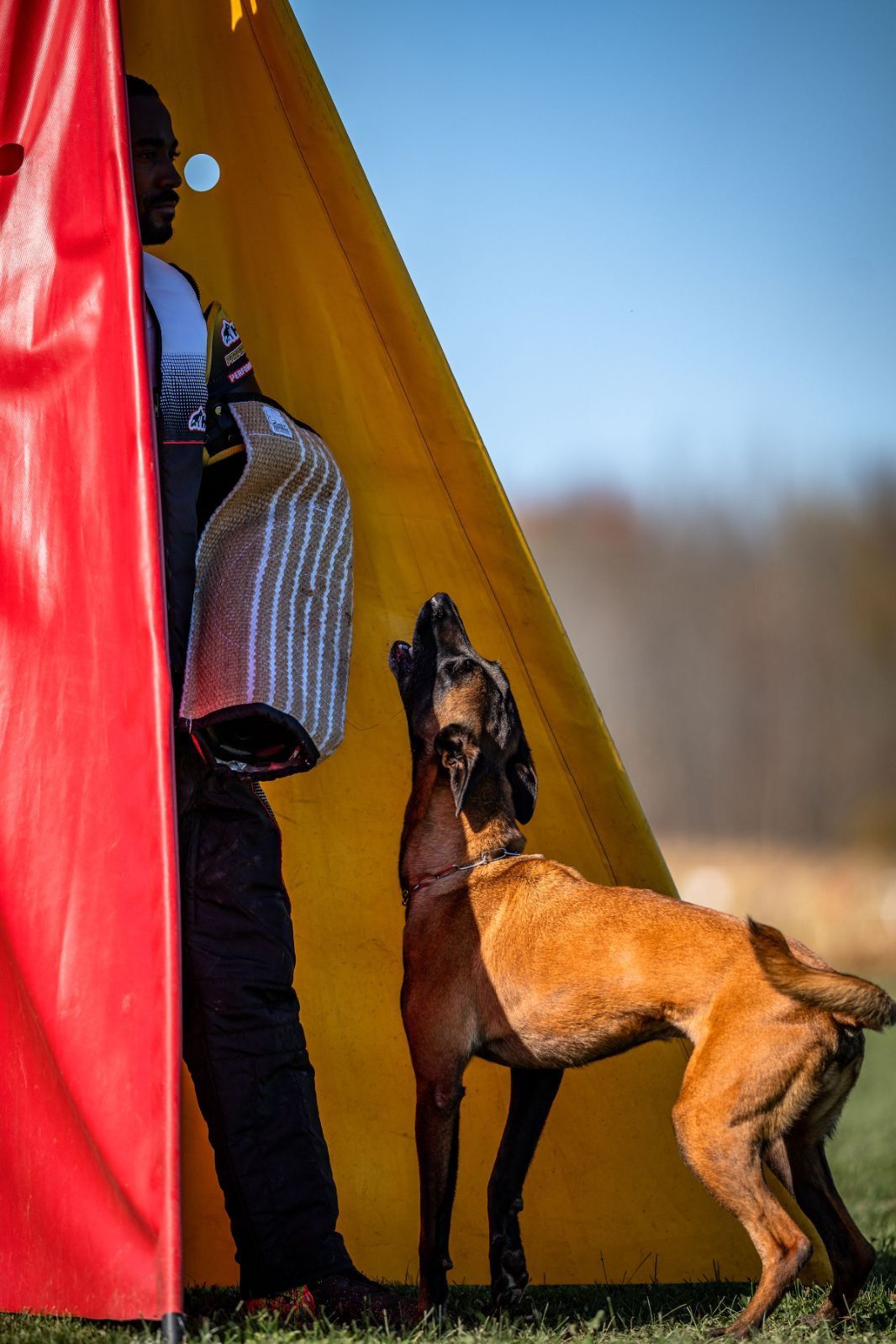 American Schutzhund with Tim Vaillancourt 