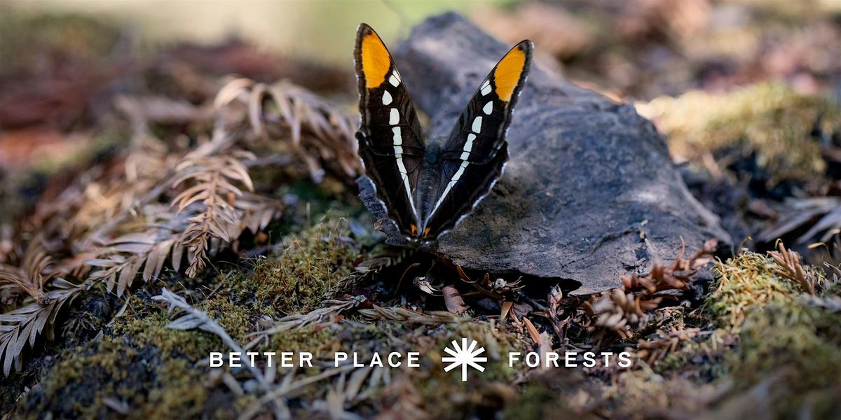 Better Place Forests Santa Cruz Memorial Forest Open House