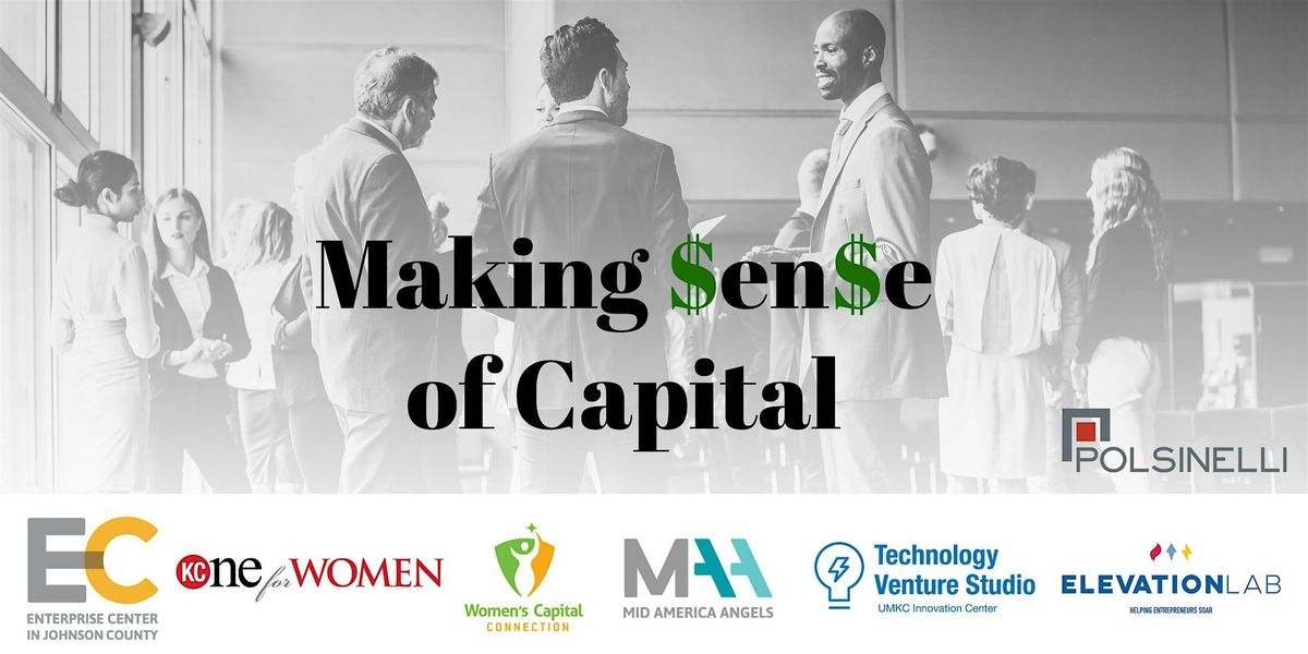 Making Sense of Capital Series - S1: The Ins and Outs of Entities