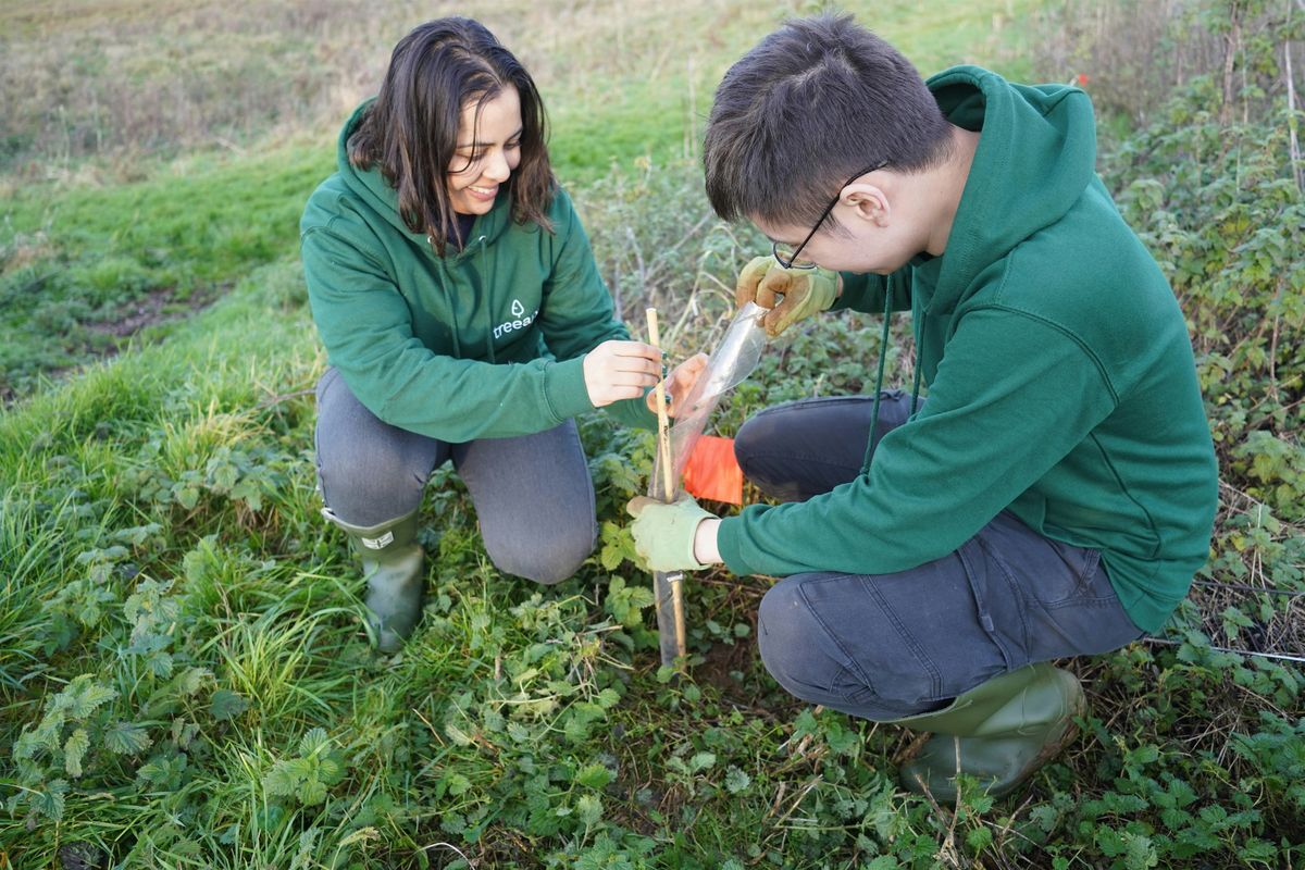 Tree Planting Days with Treeapp -2024 -  Northampton - 27\/11\/2024