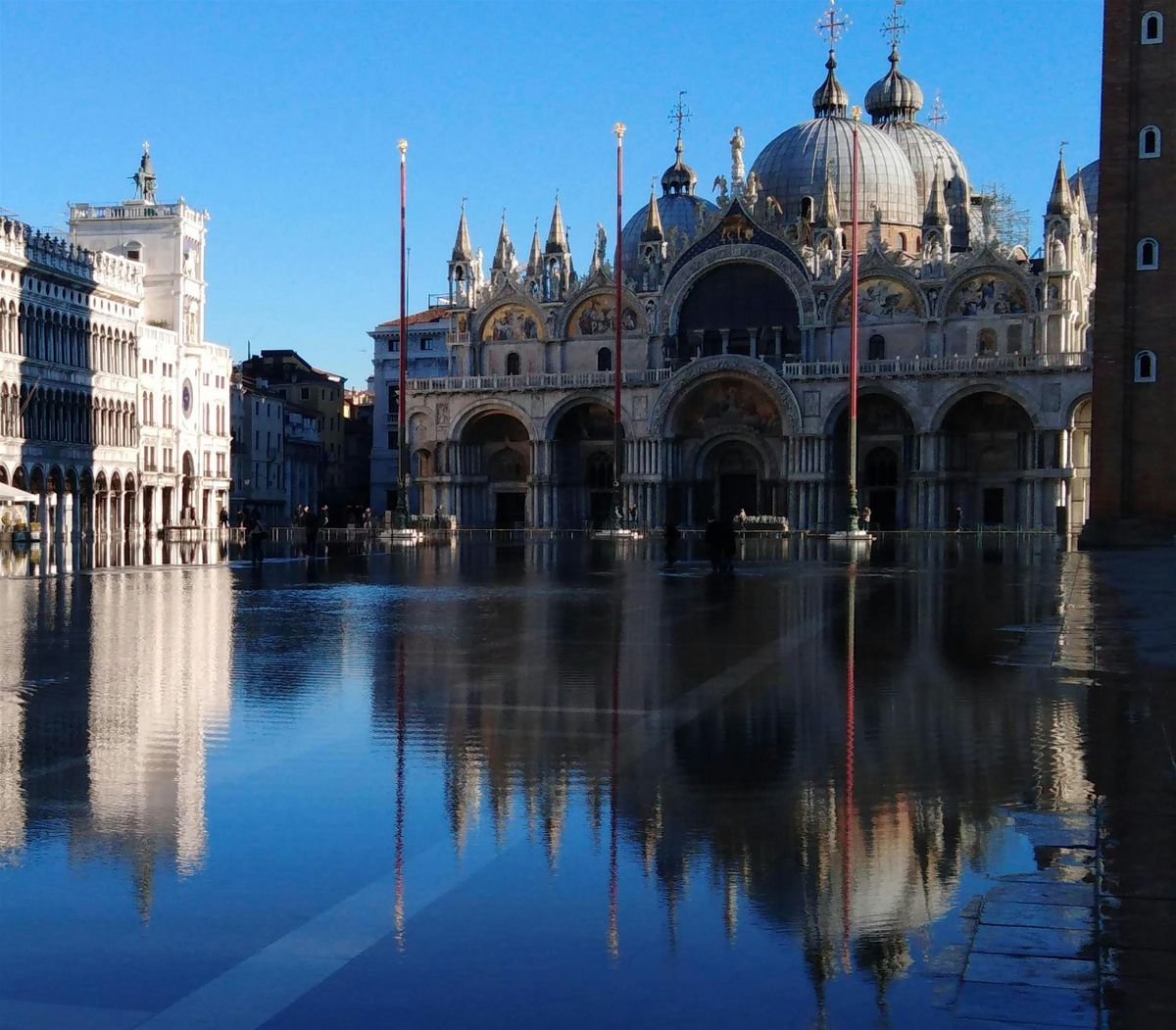 A treasure heap of gold or a vast warty bug? The story of St Marks Basilica