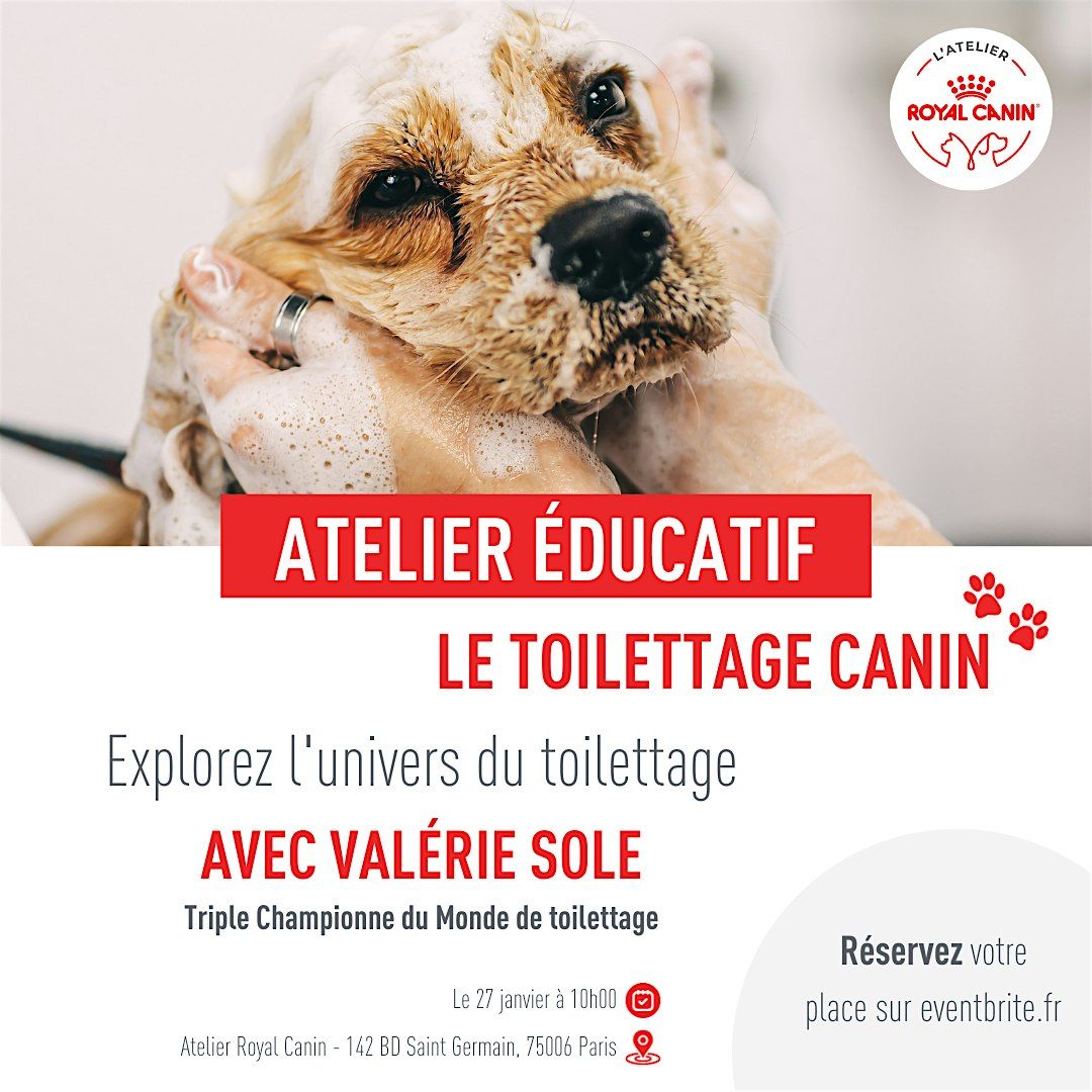 Apprendre le Toilettage Canin - Atelier \u00e9ducatif avec Val\u00e9rie SOLE