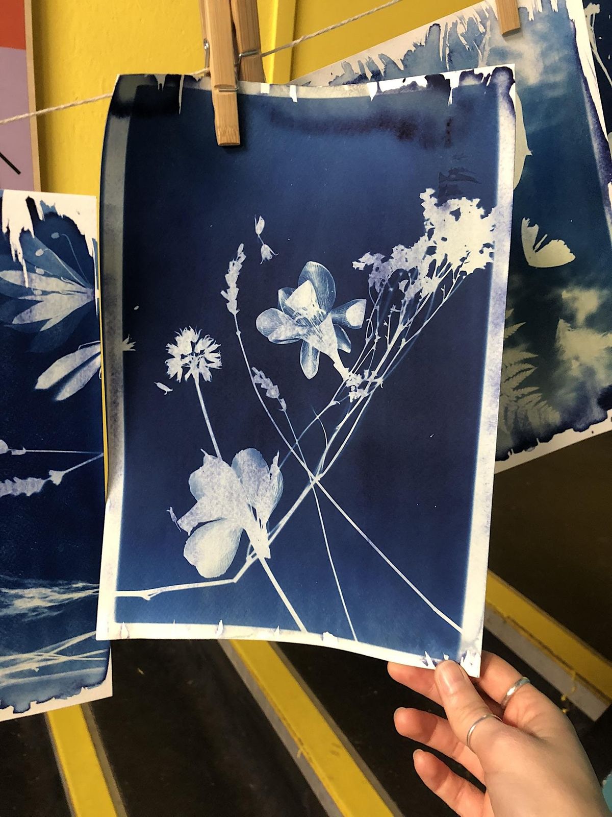 Cyanotype workshop with artist Lizzie Cardozo