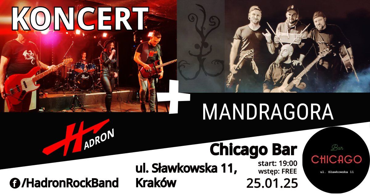 Mandragora + Hadron koncert w Chicago Bar