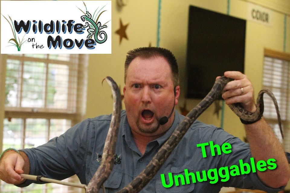 Wildlife On The Move Presents The Unhuggables at McDonald Public Library (Nacogdoches, TX)