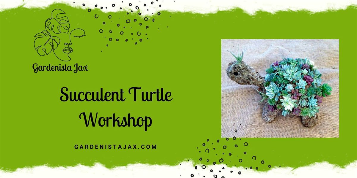 Succulent Turtle Workshop