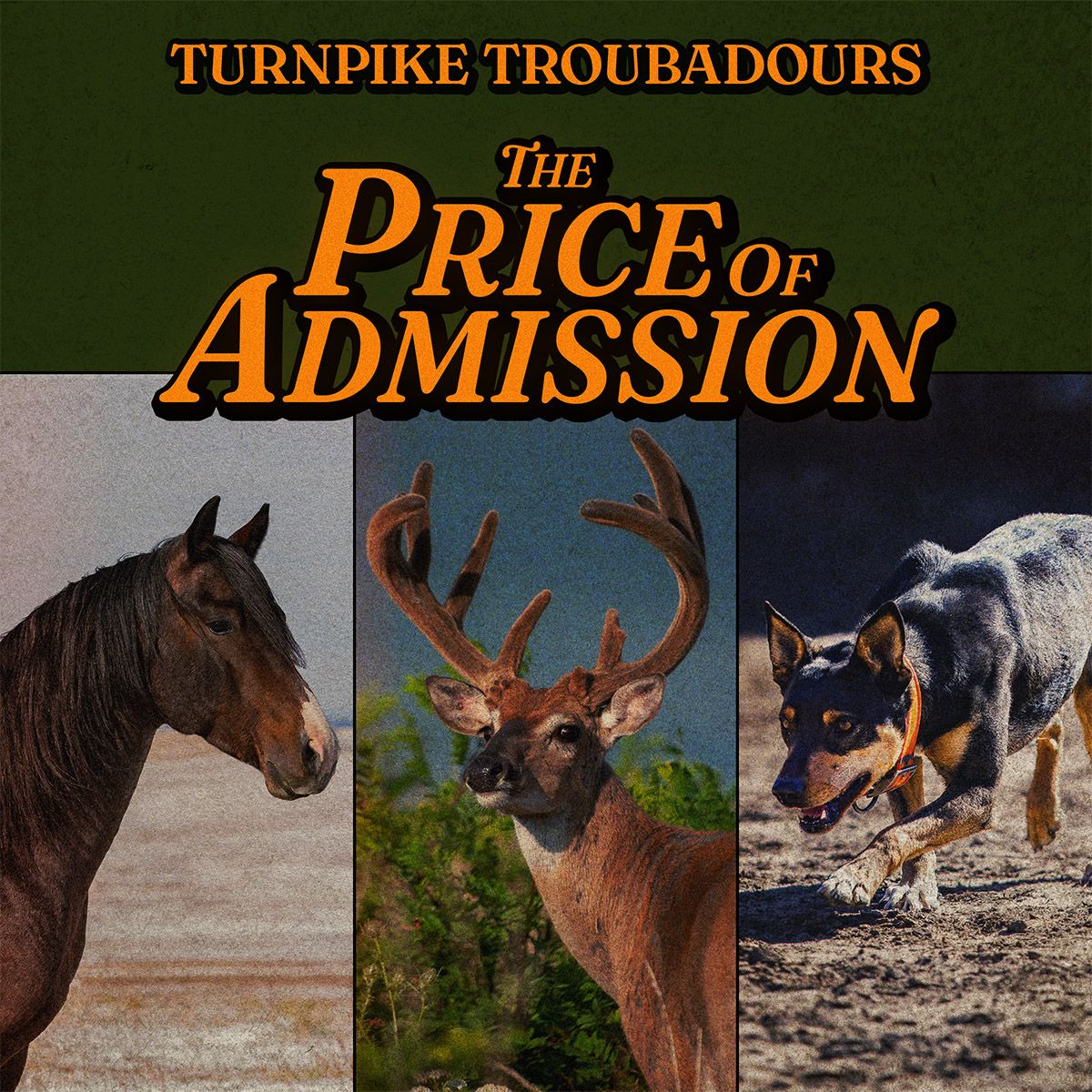 Turnpike Troubadours at Ascend Amphitheater