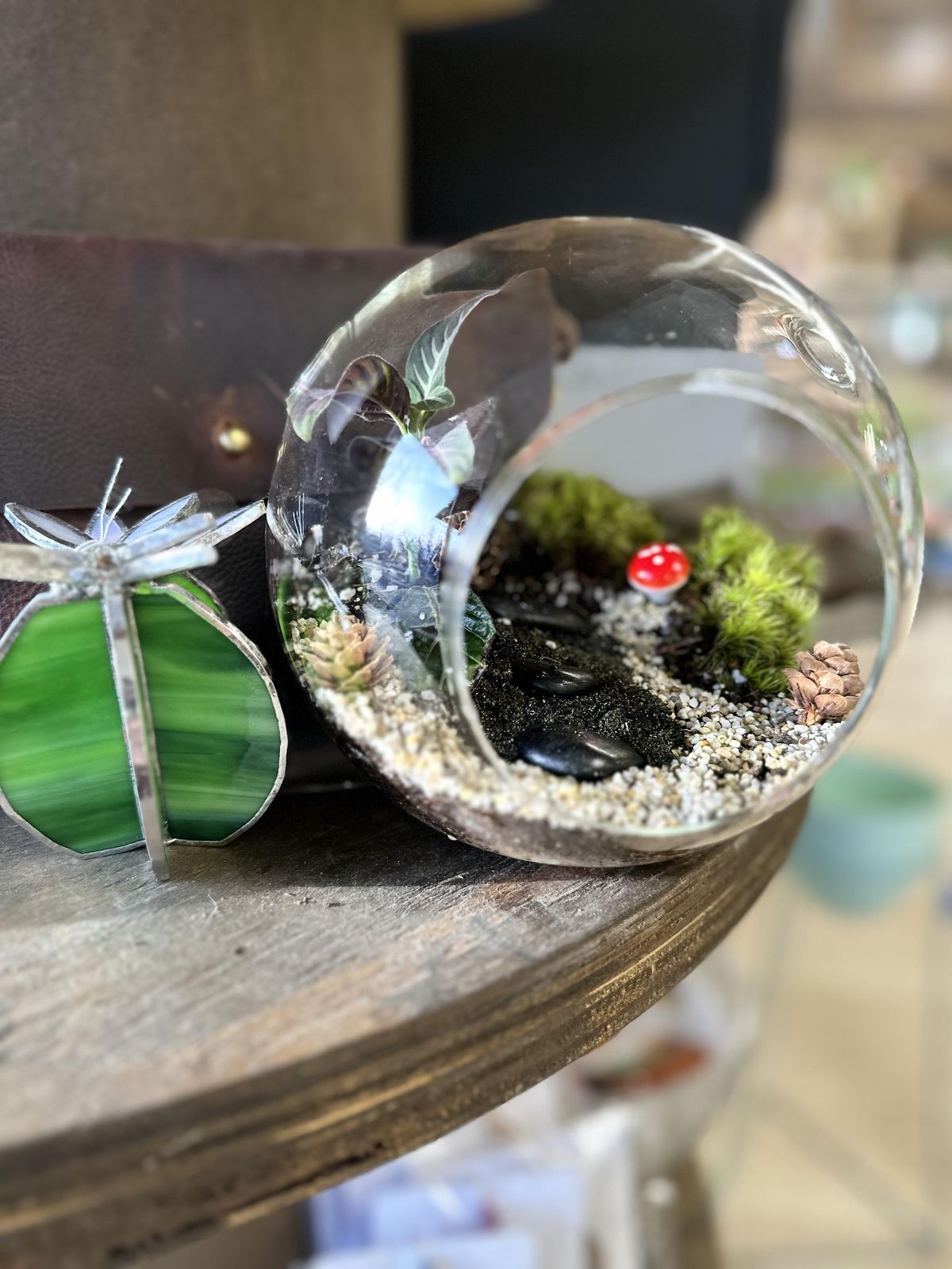 Emporium and Stem and Roots Terrarium Building Event