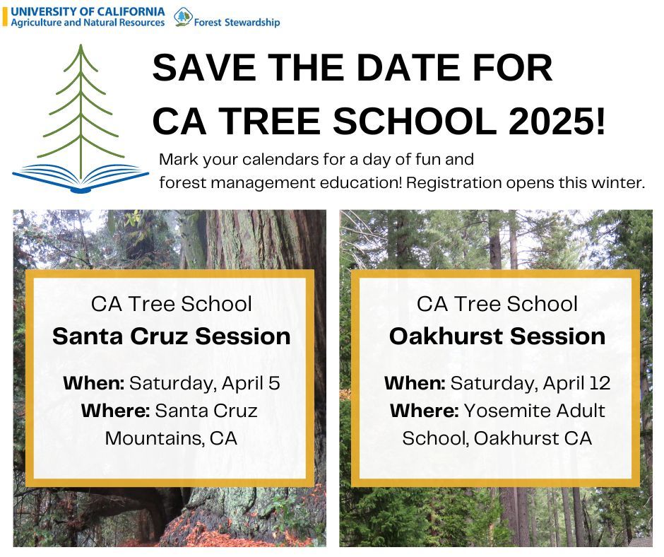 Oakhurst Session of the Ca Tree School