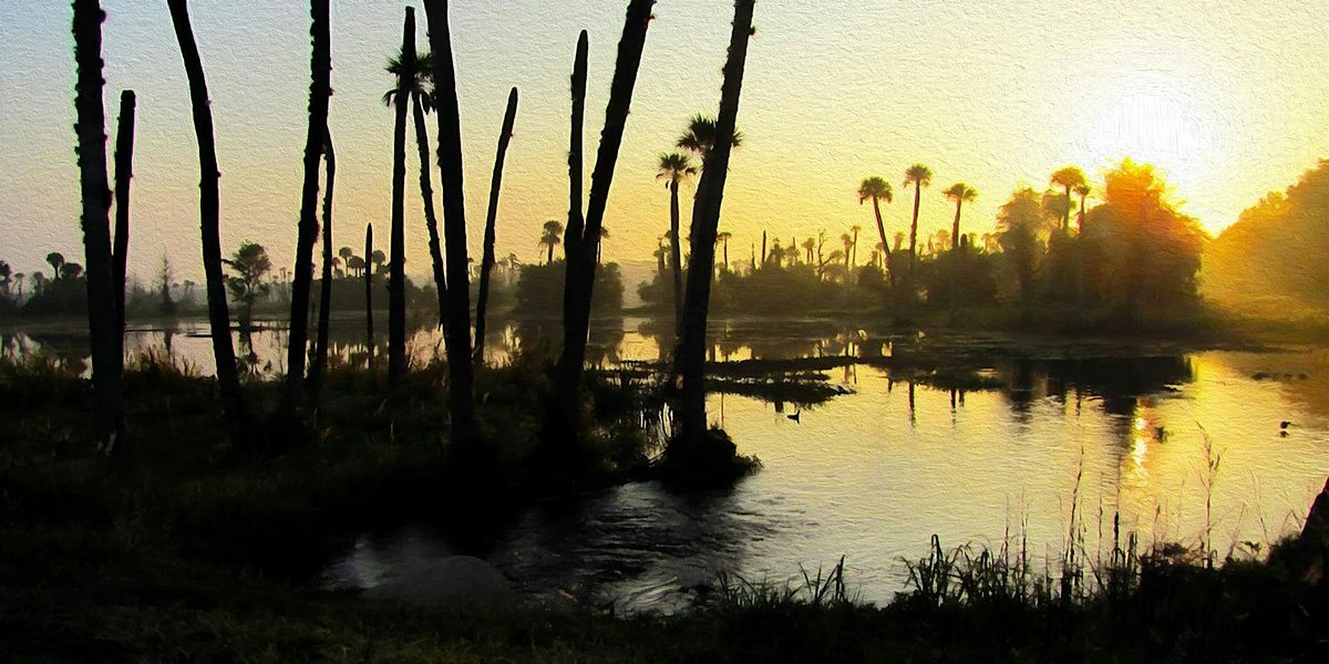 Field Trip: Orlando Wetlands Park