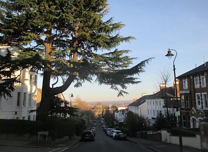 Walking Tour - Hitting the Heights: the history of Crystal Palace