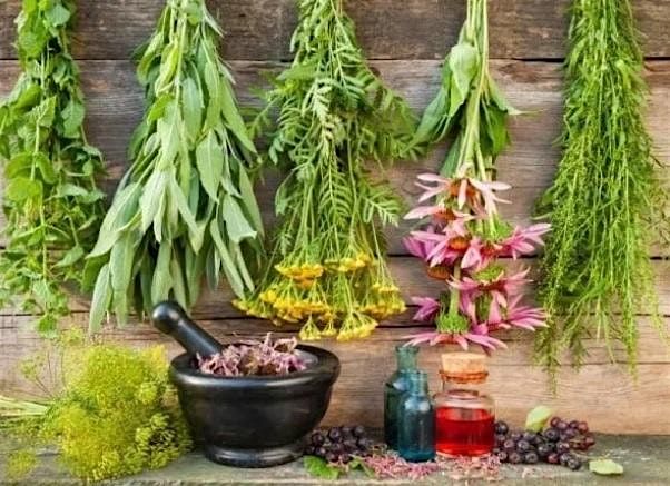 Herbs for Health