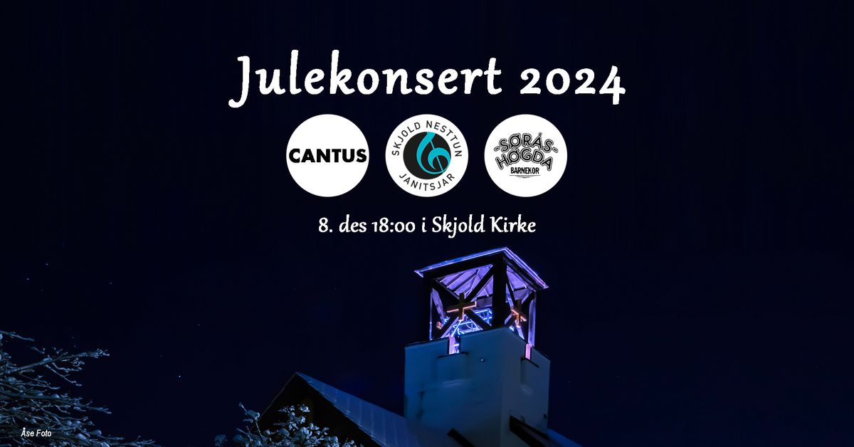 Julekonsert i Skjold kirke