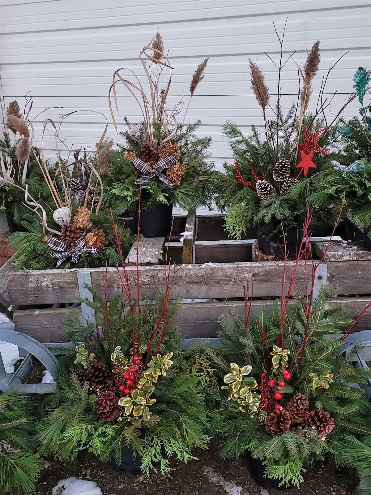 Christmas Planter Workshop