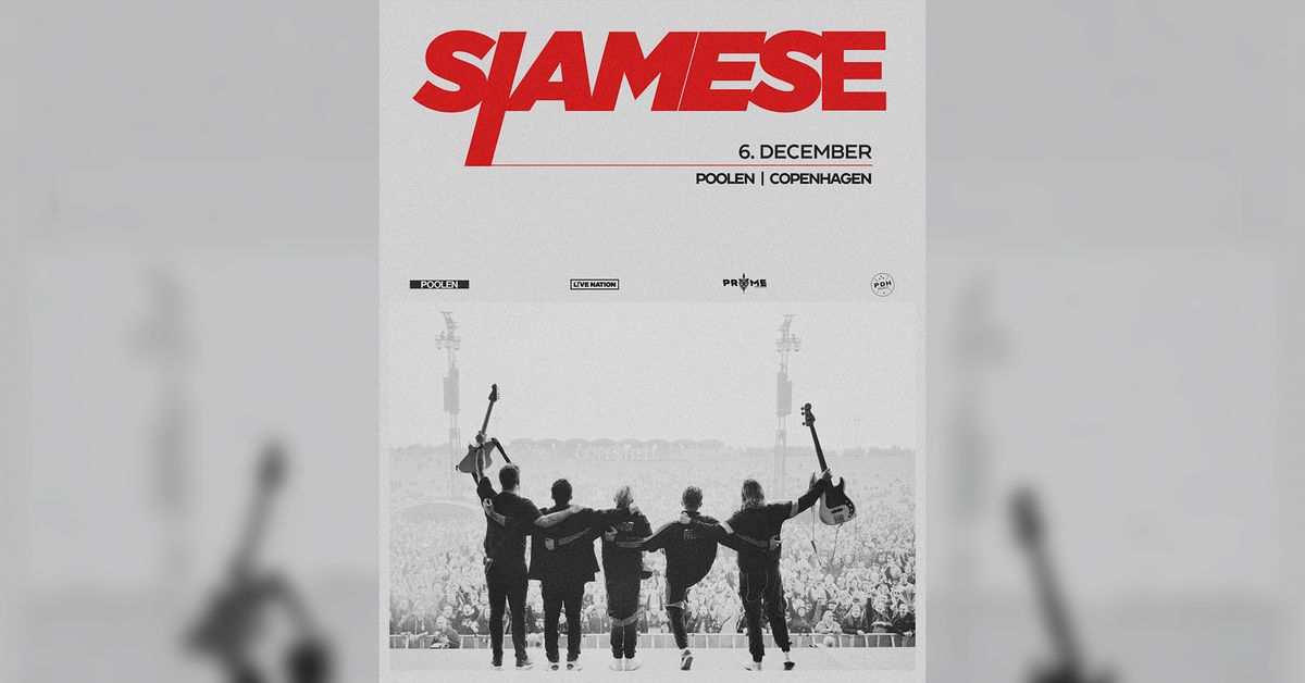 Siamese \/\/ Poolen \/\/ 6. december 2025