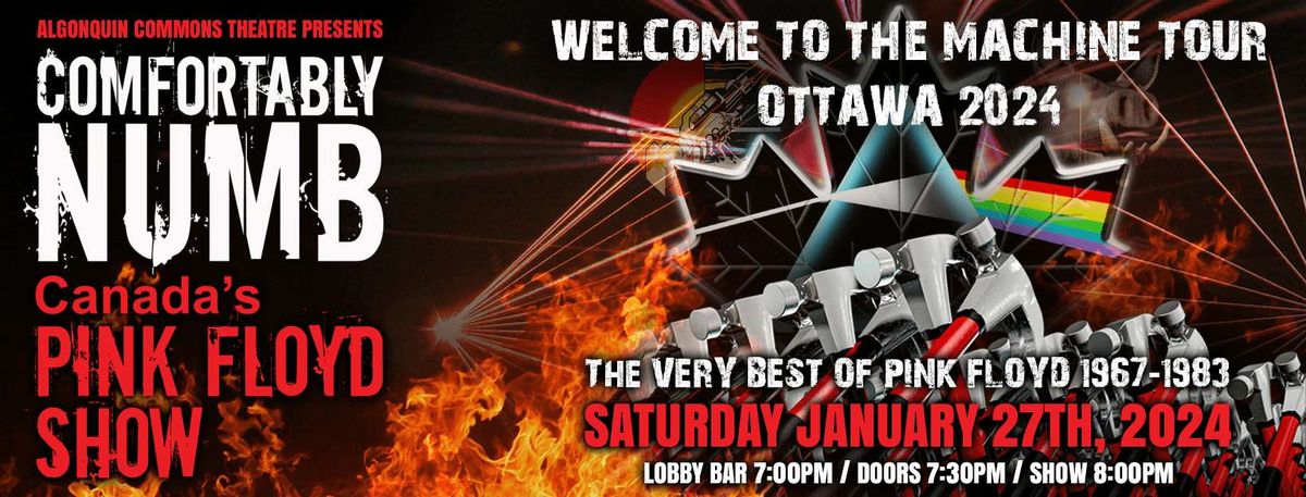 Parking Comfortably Numb - Canada's Pink Floyd Show