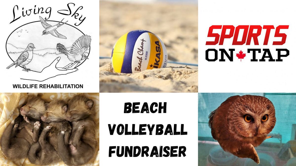 Beach Volleyball Tournament: LSWR Fundraiser!