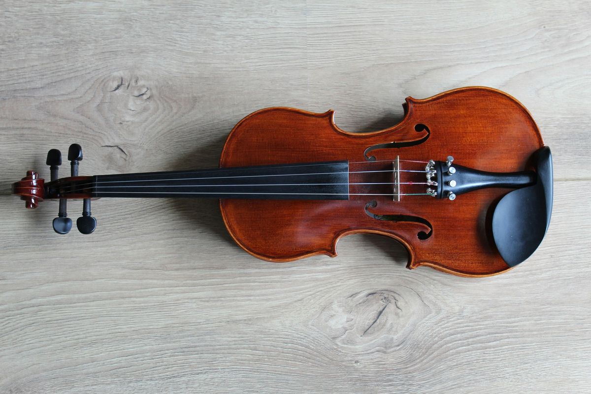 Musical Instrument Petting Zoo with the Springfield Symphony Orchestra