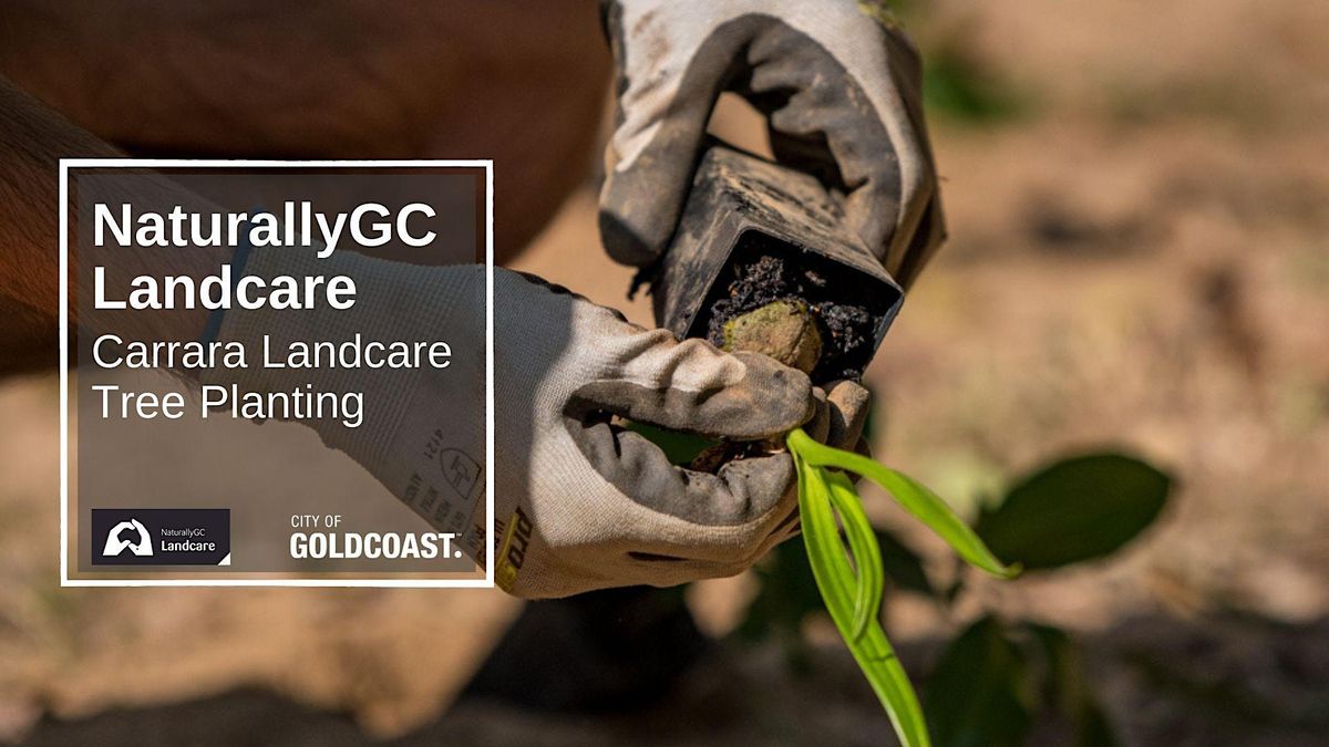 NaturallyGC: Carrara Landcare Group- Tree planting