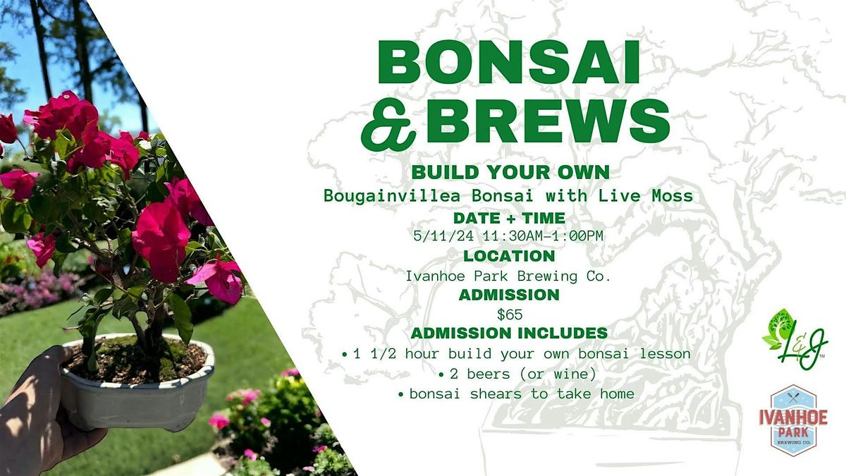 Bonsai and Brews -Bougainvillea Bonsai Tree Edition  L&J Nursery & IPB 5\/11