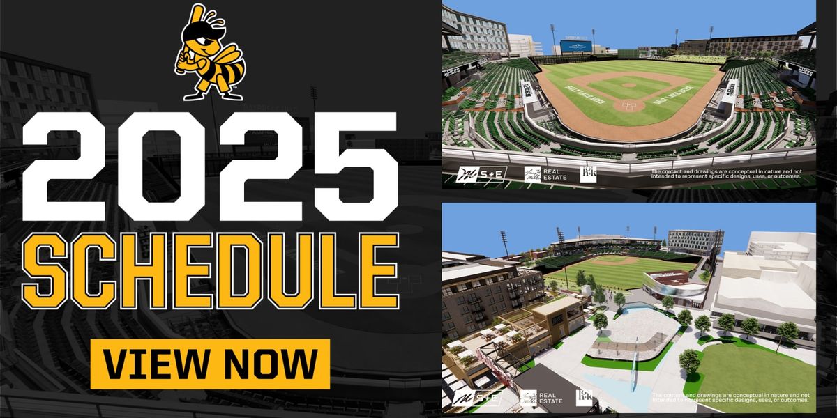 Salt Lake Bees vs. Omaha Storm Chasers