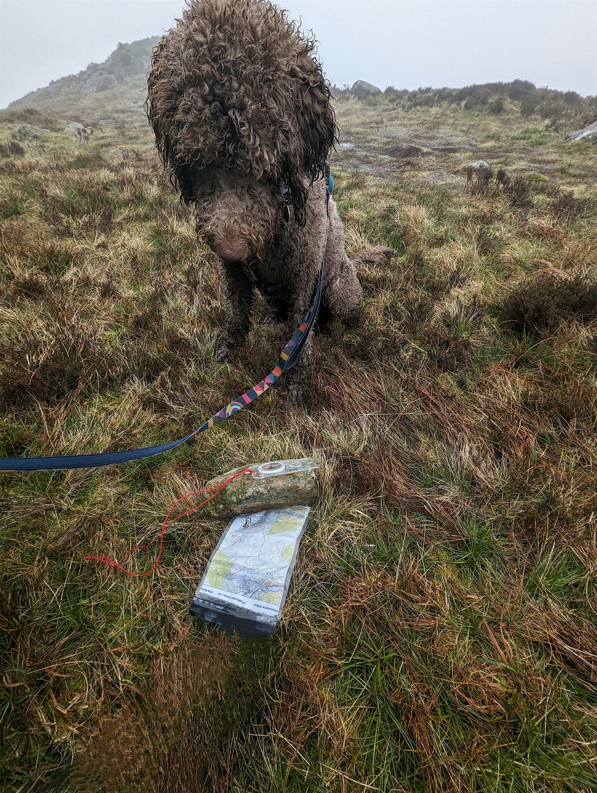 Outdoors For Everyone - Beginner Navigation courses