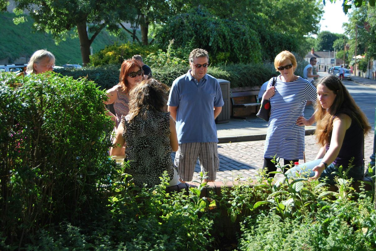 Urban Herb Walk - The Medicinal Plants and Trees of Newark on Trent