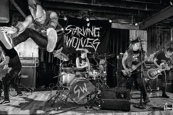 STARVING WOLVES (USA) LIVE HEILE WELT