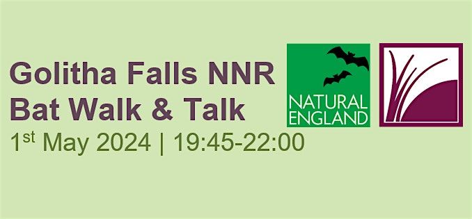 Golitha Falls Bat Walk & Talk