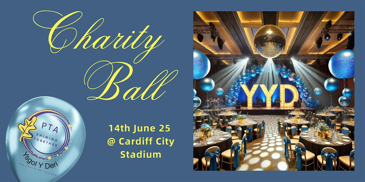 Ysgol Y Deri Shining Together Ball 2025