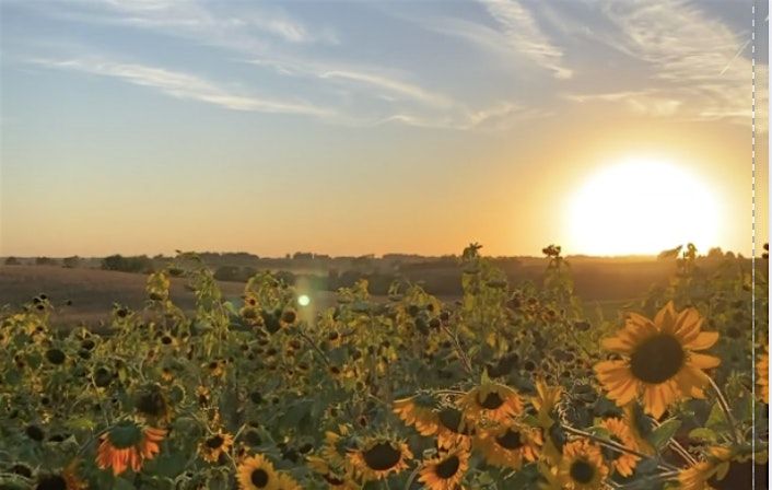 Sunset on the Farm: An Evening to Support Investigate Midwest & IowaWatch