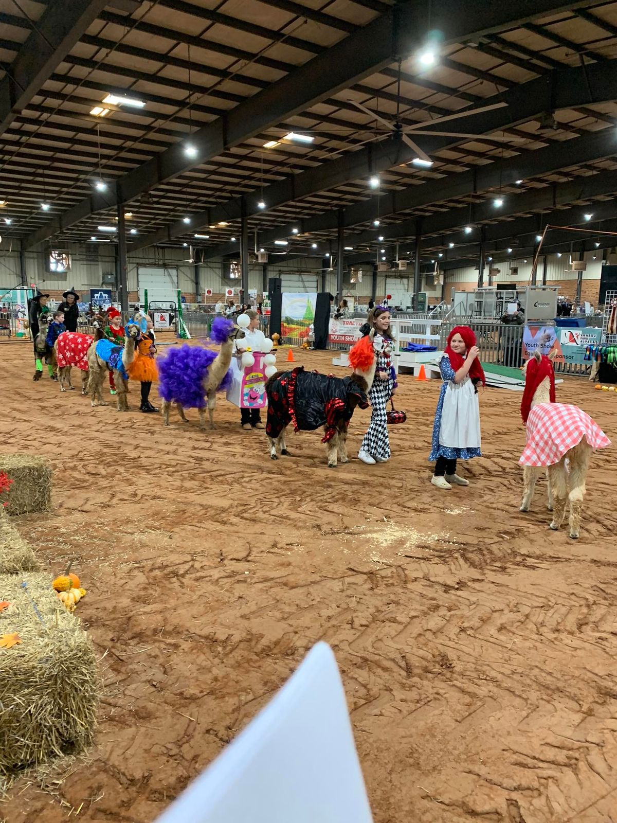 The Alpacas of Oklahoma Double Show \u2014 Blast-Off & Rose Rock