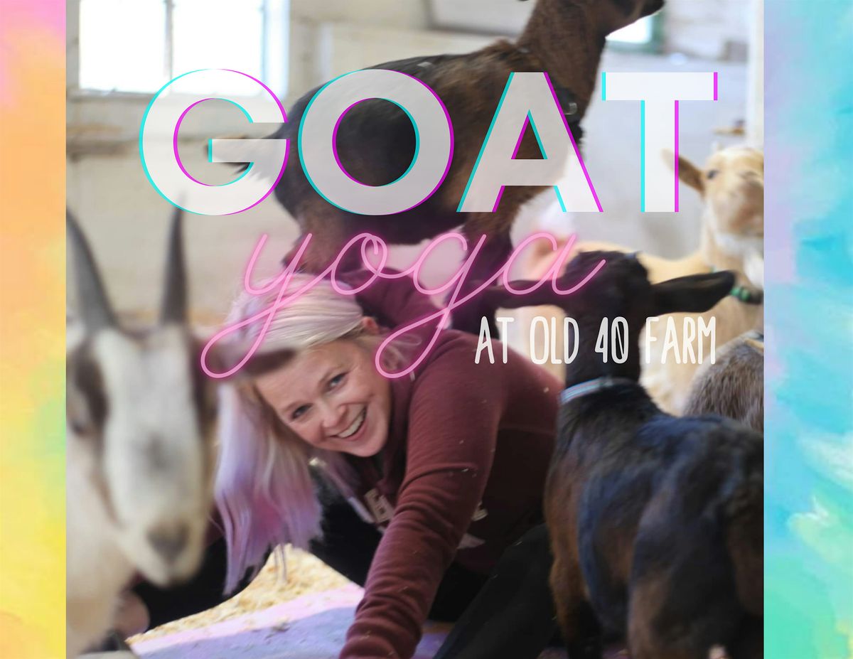Goat Yoga at Old 40 Farm