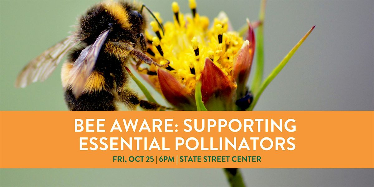 Bee Aware: Supporting Essential Pollinators