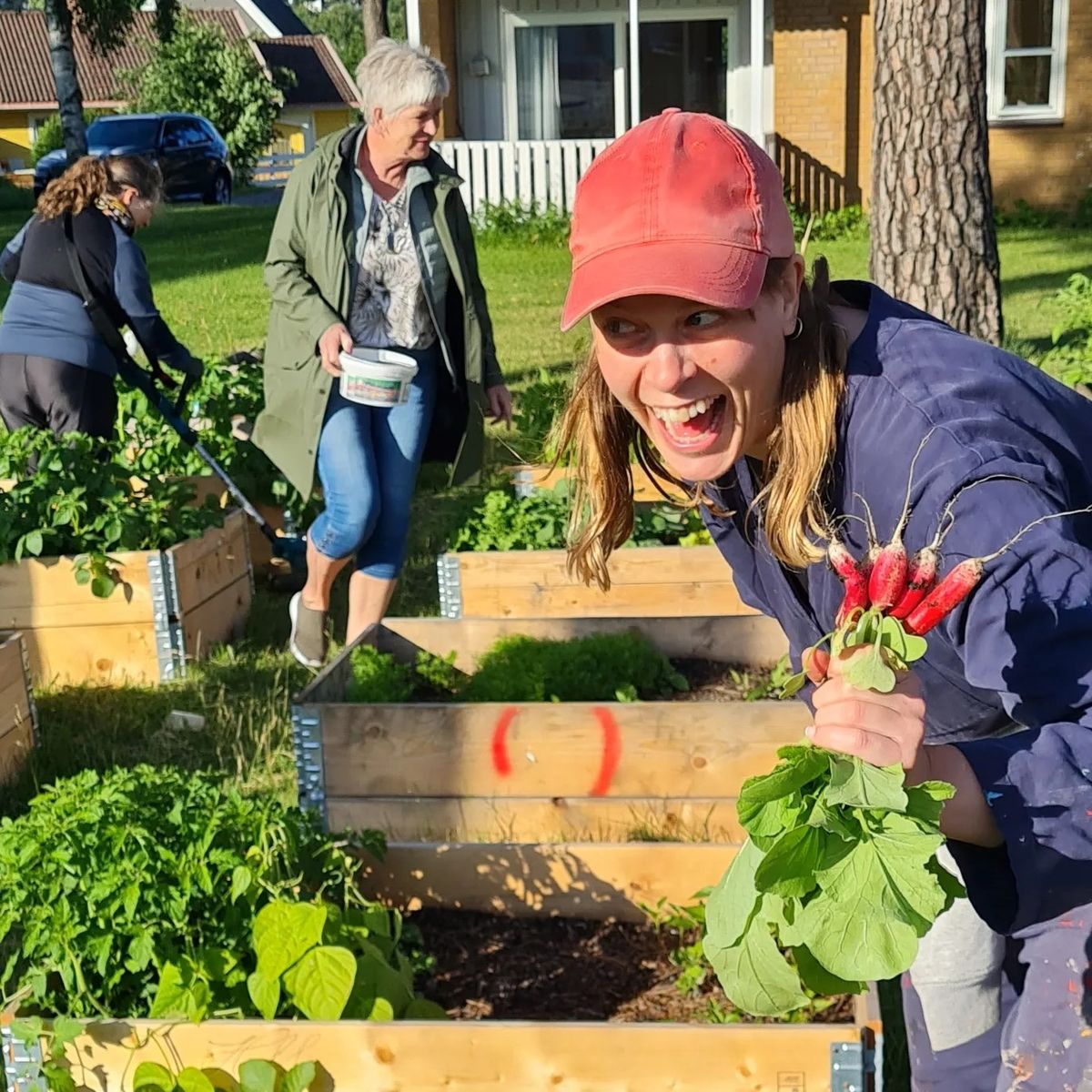 Planteloppemarked | Gr\u00e5tenmoen Bydelshus