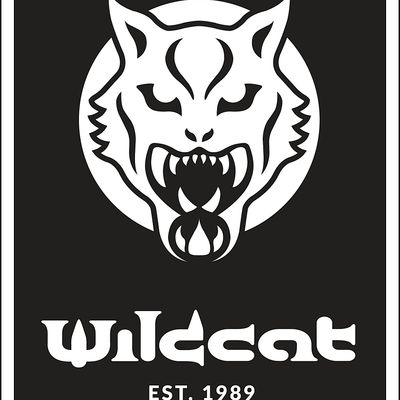 Wildcat Ink