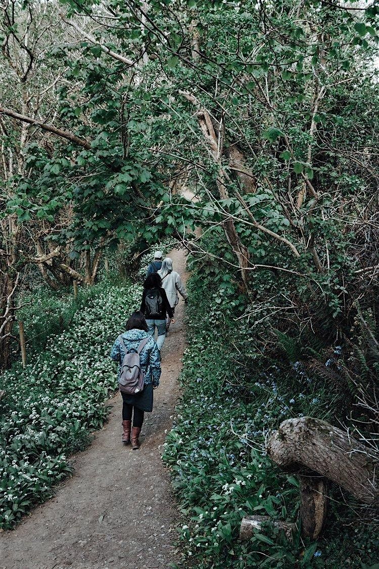 Vale of Lanherne Herbal History Walk