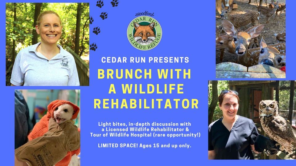 Brunch with a Wildlife Rehabilitator, Woodford Cedar Run Wildlife ...
