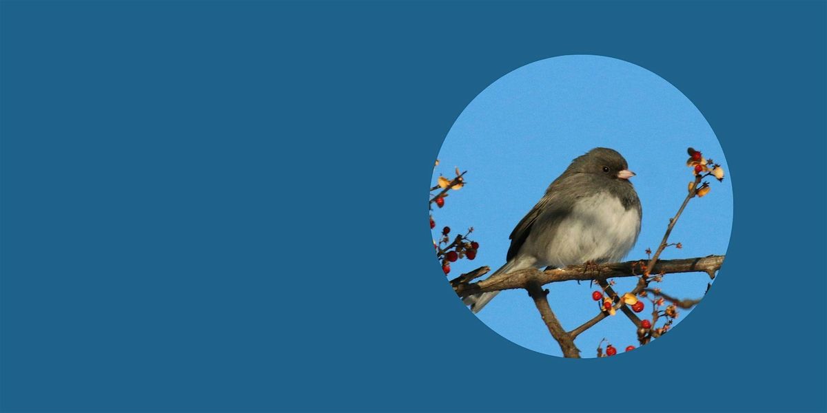 Winter Migrants Bird Walk