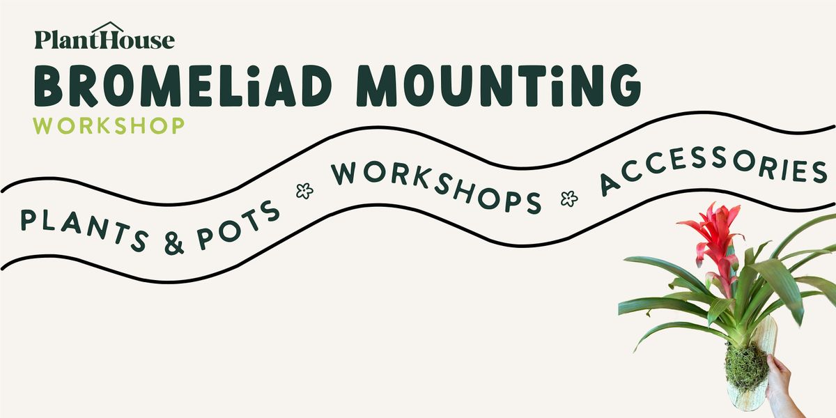 Bromeliad Mounting Workshop