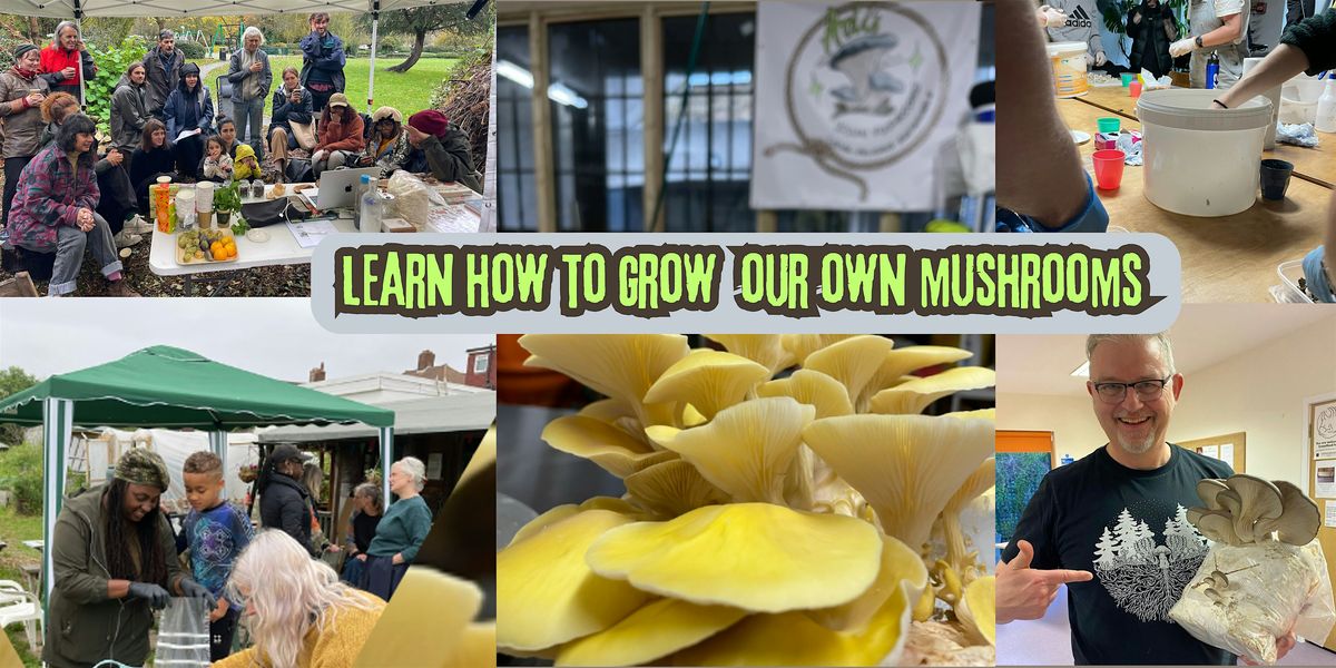Mushroom Growing Workshop \u2013 Grow Mushrooms on Coffee Waste and Straw \u2615\ufe0f