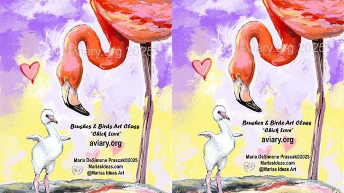 Brushes & Birds: Flamingo Fest