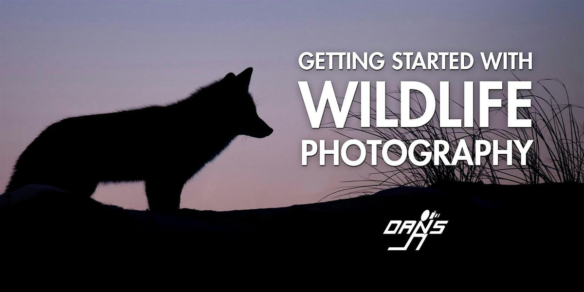 Getting Started with Wildlife Photography