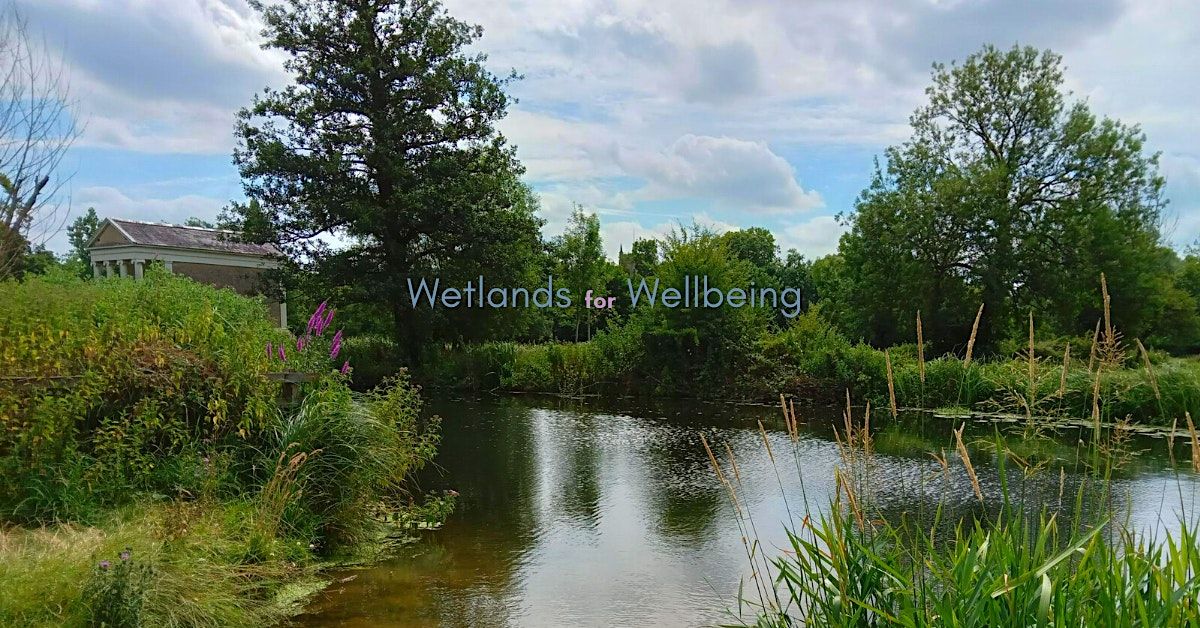 Wetlands for Wellbeing AONB Series - Dedham Circular Walk